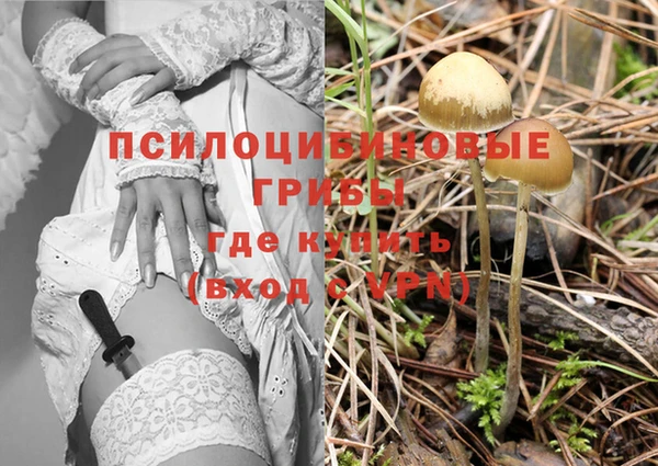 метамфетамин Белокуриха