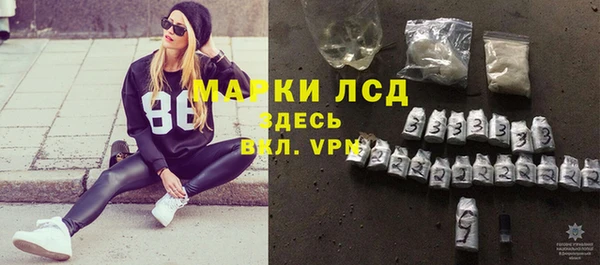 молекула духа Пересвет