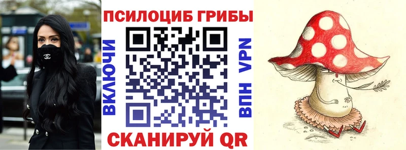 hydra как войти  Киселёвск  Псилоцибиновые грибы Cubensis 