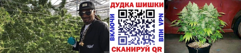 Каннабис сатива  наркота  Киселёвск 